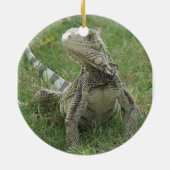 Ornement d'iguane (Dos)