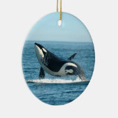 Ornement d'infraction d'orque (Droite)