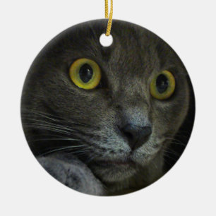 Ornement d'intensité