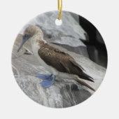 Ornement d'oiseau (Devant)