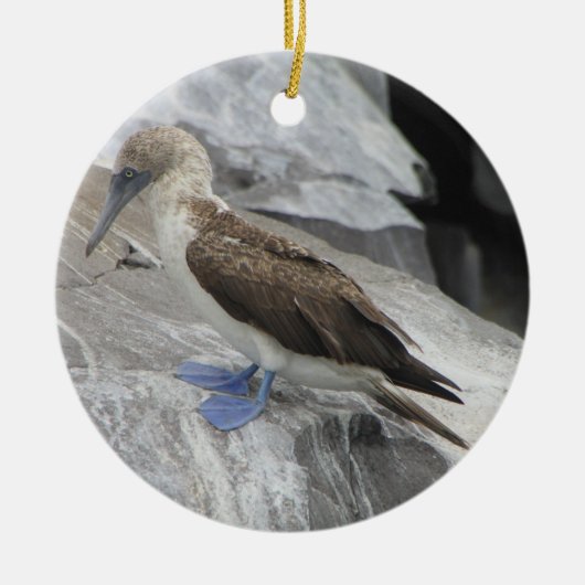 Ornement d'oiseau (Devant)