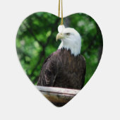 Ornement d'oiseau d'Eagle chauve (Droite)