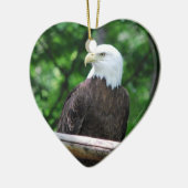 Ornement d'oiseau d'Eagle chauve (Gauche)