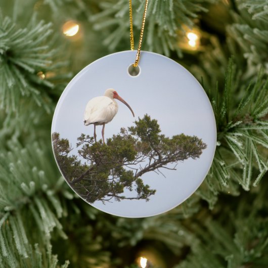 Ornement d'oiseaux Ibis (Arbre)