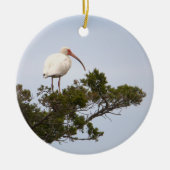 Ornement d'oiseaux Ibis (Devant)