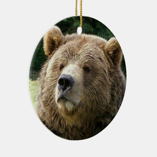 Ornement d'ours (Droite)