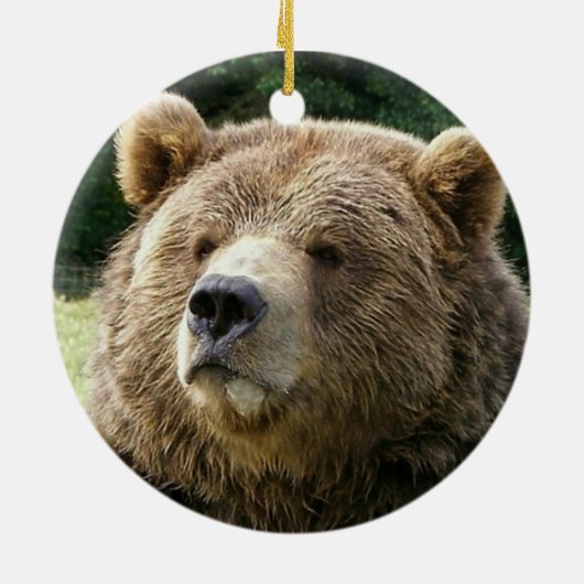 Ornement d'ours (Dos)