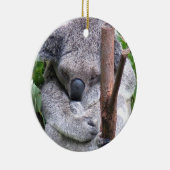 Ornement d'ours de koala (Droite)