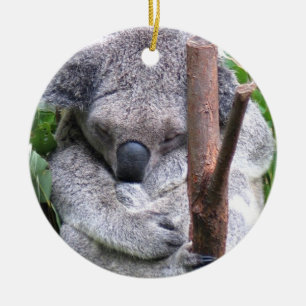 Ornement d'ours de koala