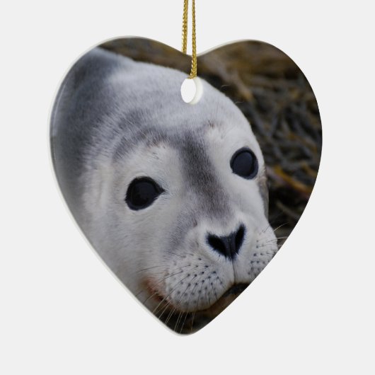 Ornement doux de bébé phoque (Droite)