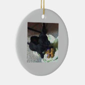 ORNEMENT DU BÉBÉ POKEMON (Droite)