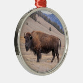 Ornement du bison de Buffalo (Droite)