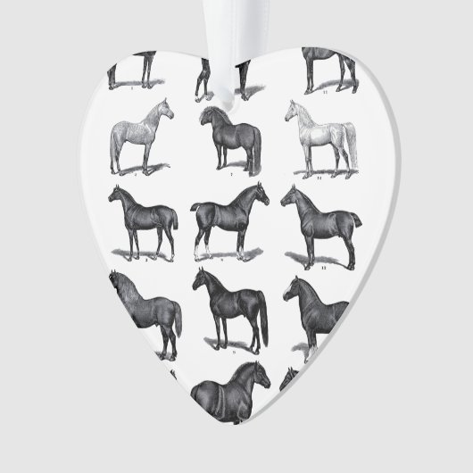 Ornement du cavalier (devant)