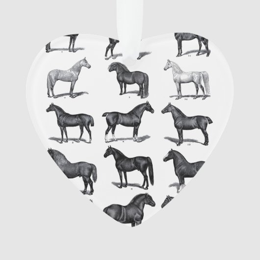 Ornement du cavalier (devant)