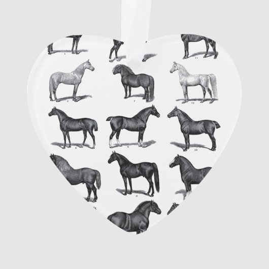 Ornement du cavalier (dos)