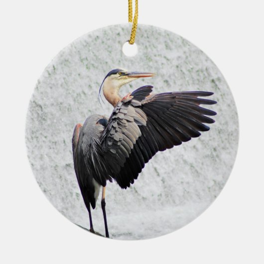 Ornement du cercle (Devant)