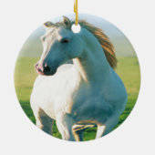 Ornement du cheval blanc (Dos)