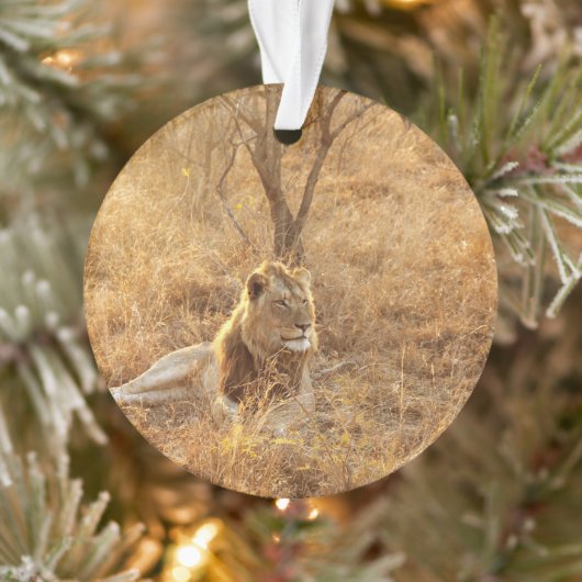 Ornement du lion (Arbre)