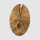 Ornement du lion (devant)