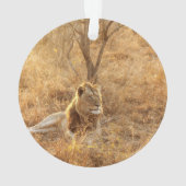 Ornement du lion (dos)