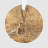 Ornement du lion (devant)