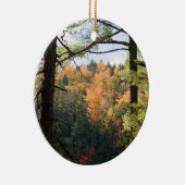 Ornement du New Hampshire 7729 (Droite)