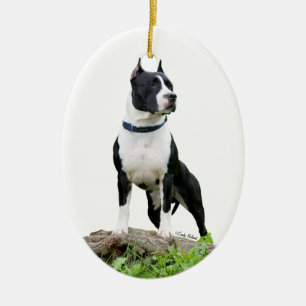 Ornement du Staffordshire Terrier américain