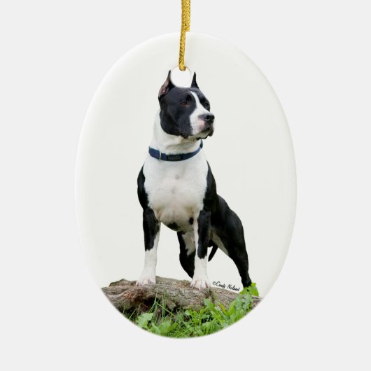 Ornement du Staffordshire Terrier américain (Devant)