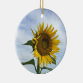 Ornement du terrain de tournesol (Droite)