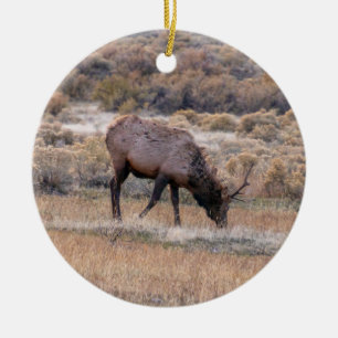 Ornement Elk Deer