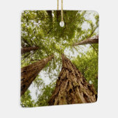 Ornement en bois de Muir (Droite)