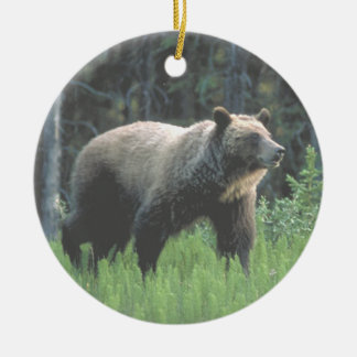 Ornement en bois d'ours gris