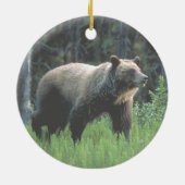 Ornement en bois d'ours gris (Dos)