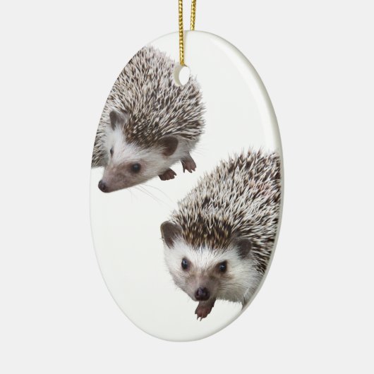 ORNEMENT EN CÉRAMIQUE ハリネズミの優良製品 (Gauche)