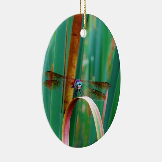 Ornement En Céramique A teal Eyed Dragonfly with cattails (Droite)