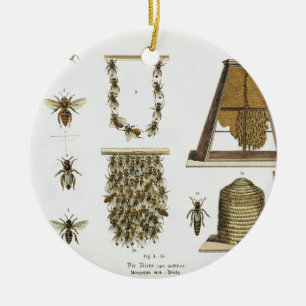 Ornement En Céramique Abeilles et apiculture, "du jeune terrien", p