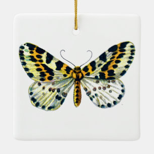 Ornement En Céramique Abraxas grand ulariata, The Magpie Moth Color Imag