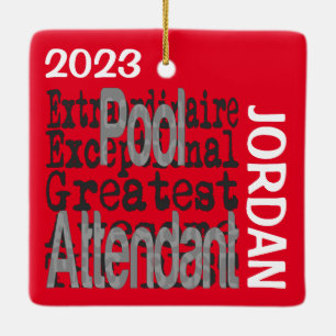 Ornement En Céramique Agent de piscine Extraordinaire