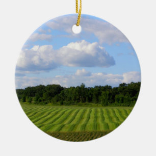 Ornement En Céramique Agriculteur rayé de terre de champ de ferme