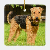 Ornement En Céramique Airedale Terrier Chien chiot (Dos)