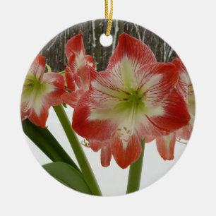 Ornement En Céramique Amaryllis dans la neige Fleurs rouges de vacances