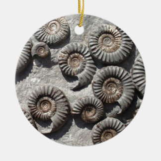 Ornement En Céramique Ammonites fossiles multi du Lias inférieur