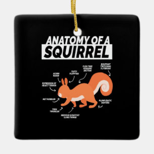 Ornement En Céramique Anatomie D'Un Écureuil
