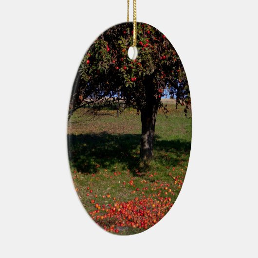 Ornement En Céramique Ancien arbre à pomme (Droite)