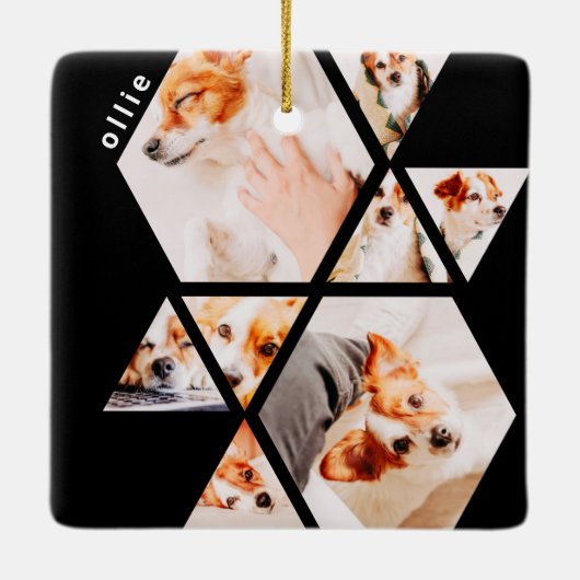 Ornement En Céramique Animaux de compagnie Formes modernes Géométrique 8 (Dos)