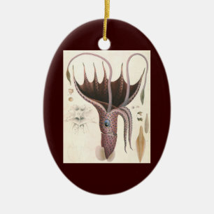 Ornement En Céramique Animaux de la vie marine vintage, calmar à paraplu