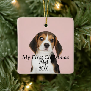Ornement En Céramique Animaux modernes Script Nom First Christmas 2 Phot