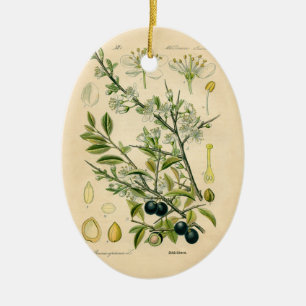 Ornement En Céramique Antique Blackthorn Botanique Imprimé Fleur Berry