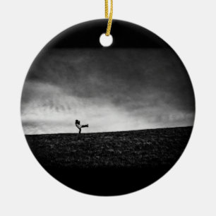 Ornement En Céramique appendices sur la colline