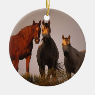 Ornement En Céramique Arabes au coucher du soleil